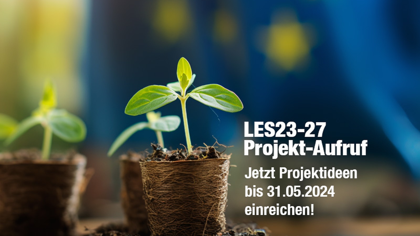 
                        
                            Erster Aufruf 2024 zur Einreichung von LEADER-Projekten
                        
                        
