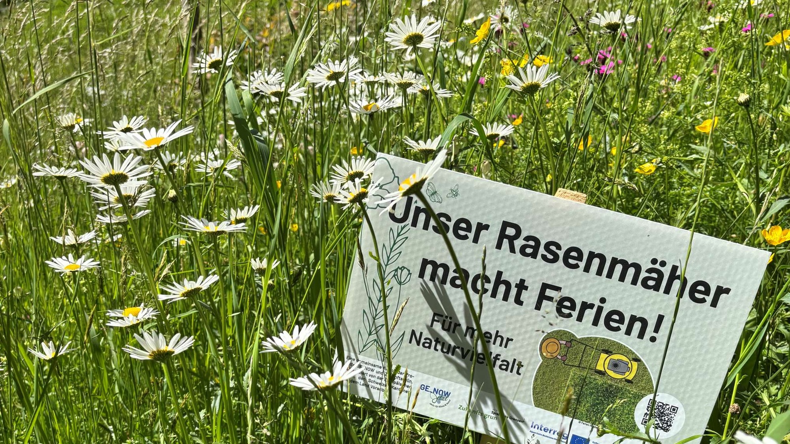 
                        
                            Rasenmäherferien für mehr Natur: Sieger:innen der Challenge „Ferien für den Rasenmäher“ ausgezeichnet
                        
                        