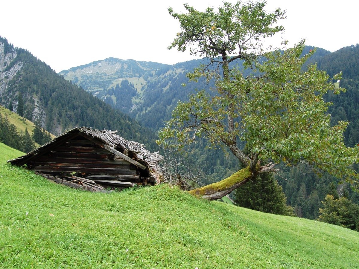 
                                
                                    Kulturlandschaftsinventar Montafon (KLIM)
                                
                                