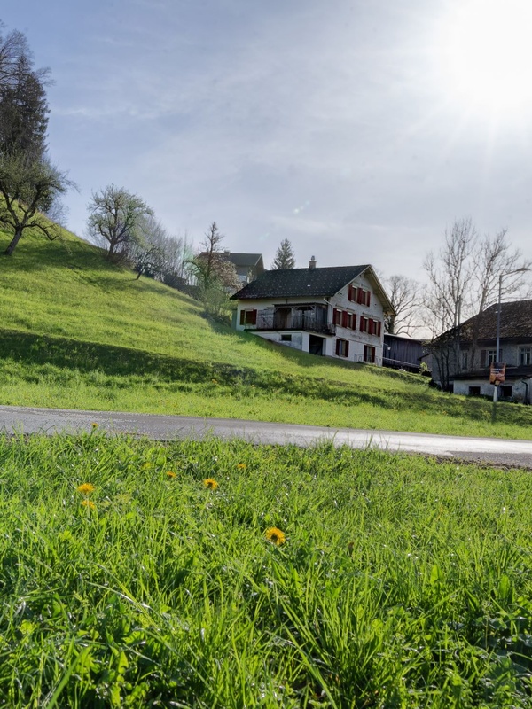 Gemeinsam wohnen in Lingenau, Bregenz und andernorts