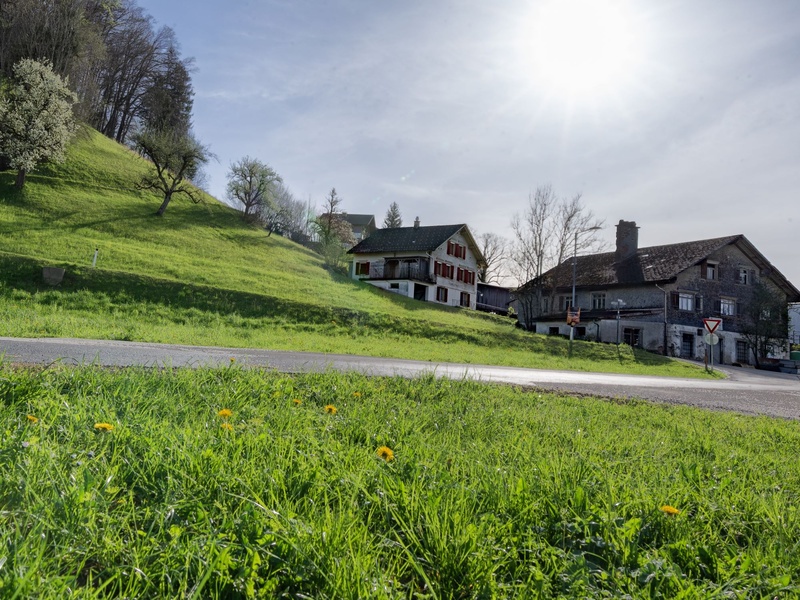 In Lingenau können sich Interessierte dem gemeinschaftlichen Wohnprojekt Dörnle anschließen.
Gemeinsam wohnen in Lingenau, Bregenz und andernorts