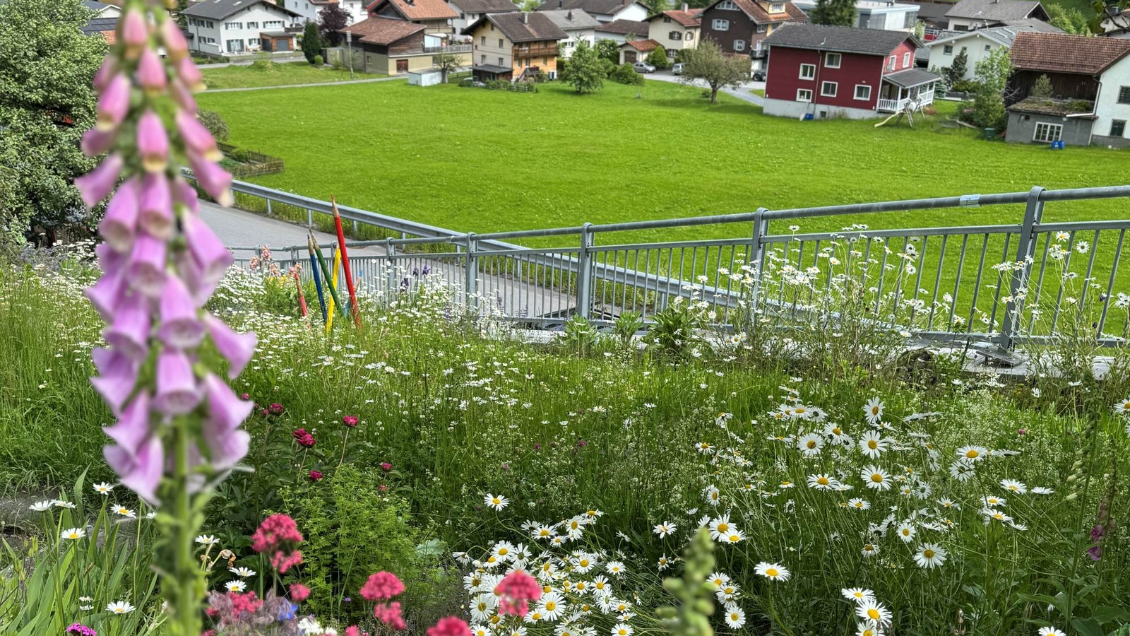 
                        
                            Rasenmäherferien für mehr Natur: Sieger:innen der Challenge „Ferien für den Rasenmäher“ ausgezeichnet
                        
                        