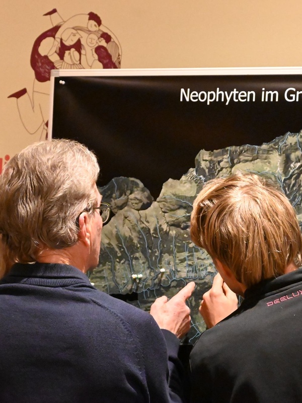 Für naturnahe Gärten und Grünflächen im Großen Walsertal