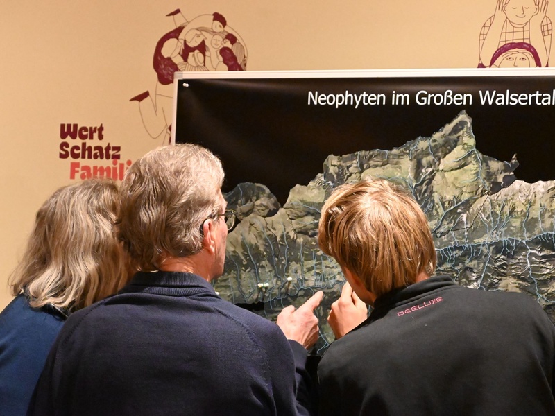 
                                            
                                                Für naturnahe Gärten und Grünflächen im Großen Walsertal
                                            
                                            