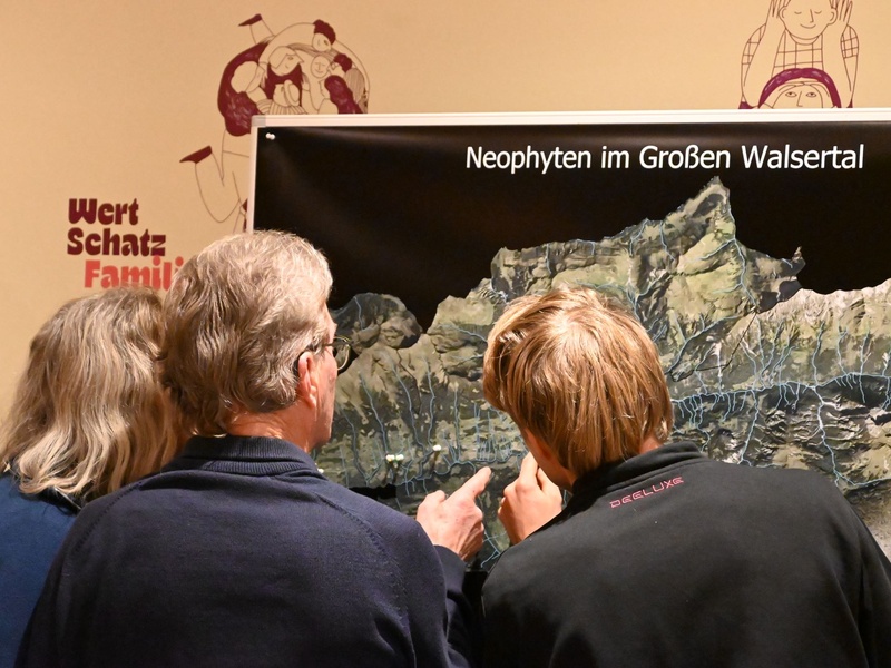 
                                            
                                                Für naturnahe Gärten und Grünflächen im Großen Walsertal
                                            
                                            