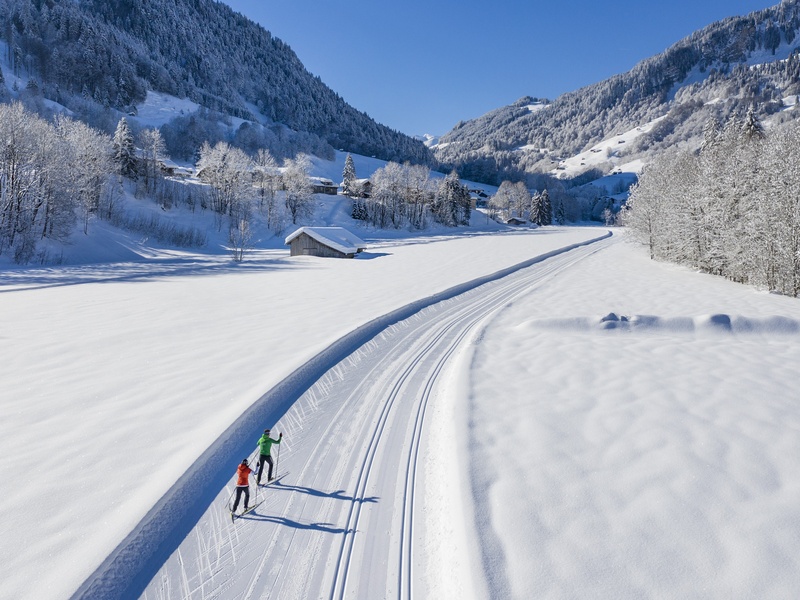 
                                    
                                        Nordic
                                    
                                    