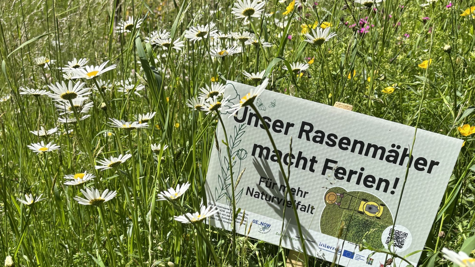 
                        
                            „Ferien für den Rasenmäher“: Challenge macht Gärten zu Hotspots der Artenvielfalt
                        
                        