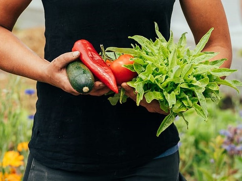 
                                    
                                        Slow-Food-Vernetzung
                                    
                                    