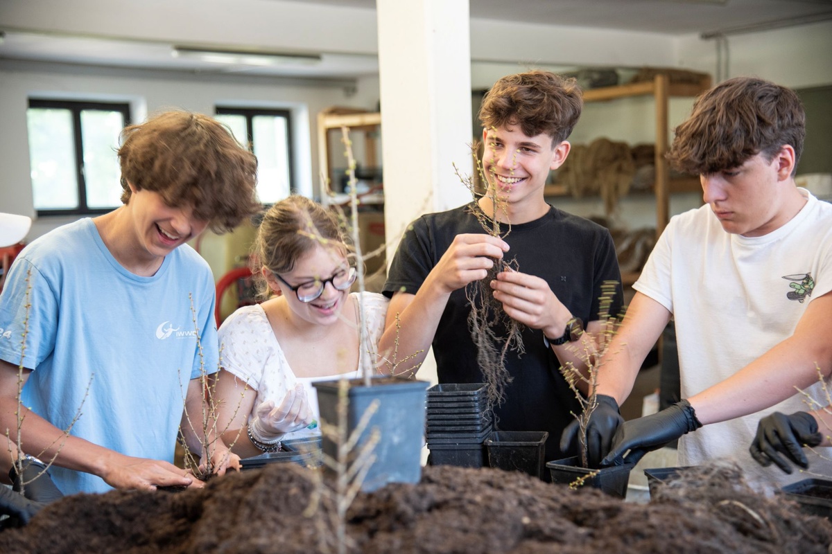 
                                    
                                        Jetzt einreichen: Aktionen mit Schulklassen bei den MACHWAS-Tagen
                                    
                                    