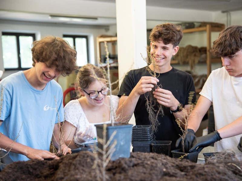 
                                            
                                                Jetzt einreichen: Aktionen mit Schulklassen bei den MACHWAS-Tagen
                                            
                                            