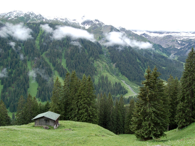 
                                    
                                        Gauertal
                                    
                                    