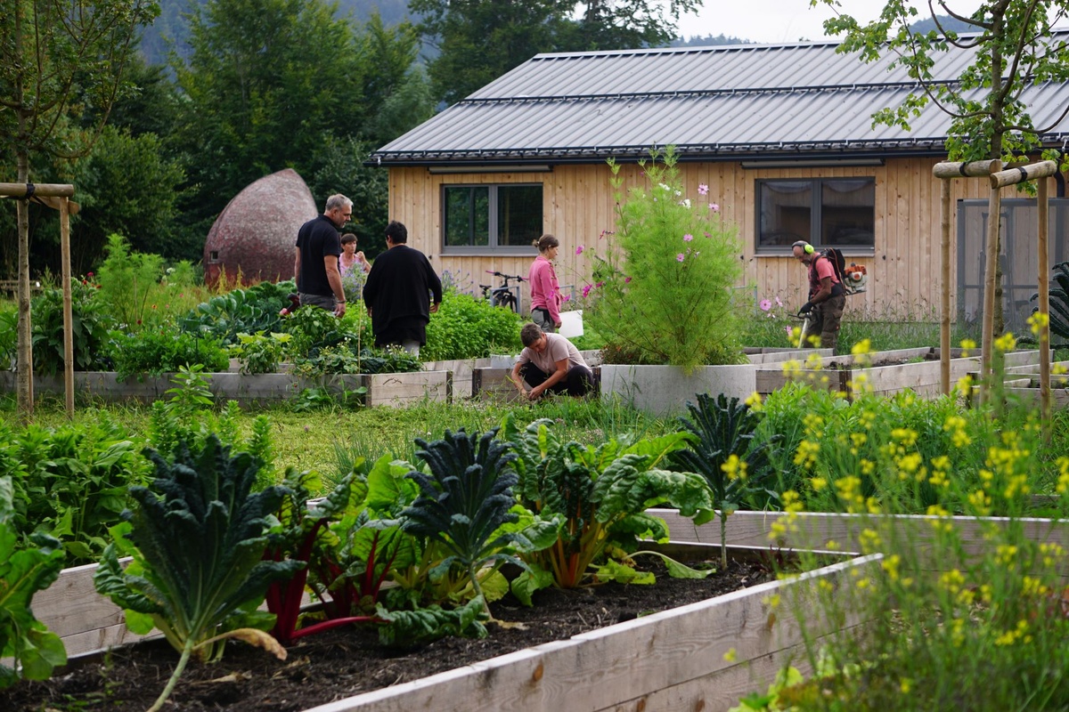 
                                    
                                        Gemüse-Labor, Dorfgarta, Schulgarten – viele Namen, ein Gemeinschaftsprojekt
                                    
                                    