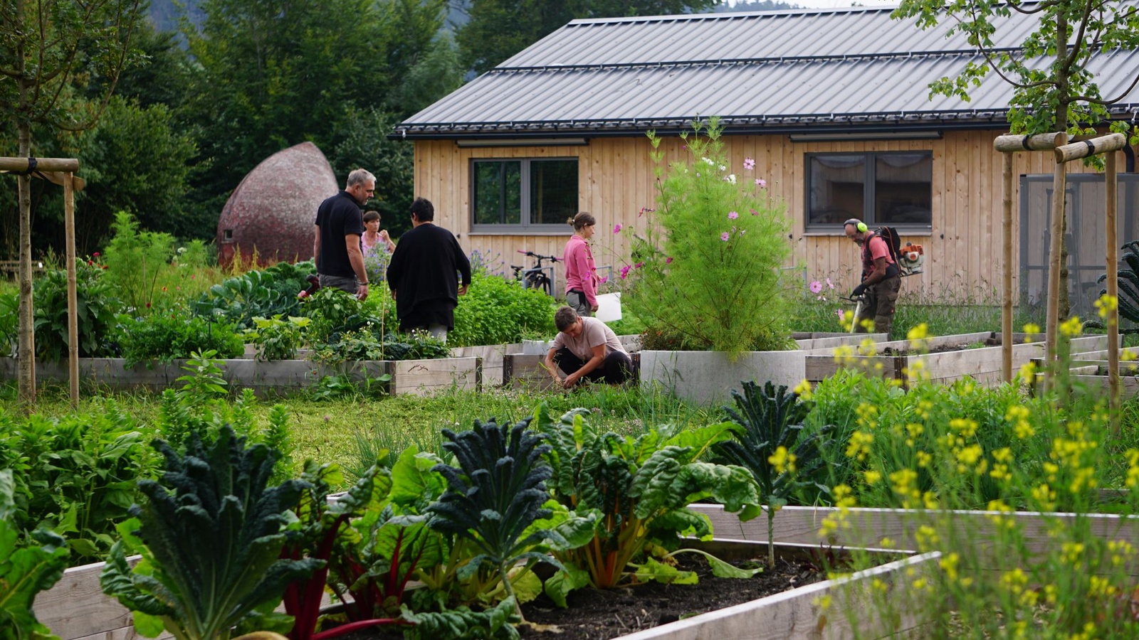 
                        
                            Gemüse-Labor, Dorfgarta, Schulgarten – viele Namen, ein Gemeinschaftsprojekt
                        
                        