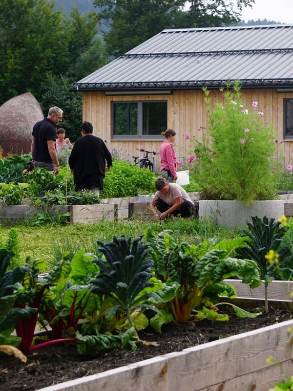 Gemüse-Labor, Dorfgarta, Schulgarten – viele Namen, ein Gemeinschaftsprojekt