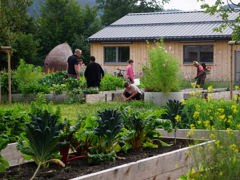 
                                            
                                                Gemüse-Labor, Dorfgarta, Schulgarten – viele Namen, ein Gemeinschaftsprojekt
                                            
                                            