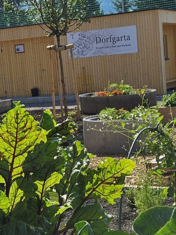 Dorfgarta Hittisau: Wo Gemeinschaft wächst