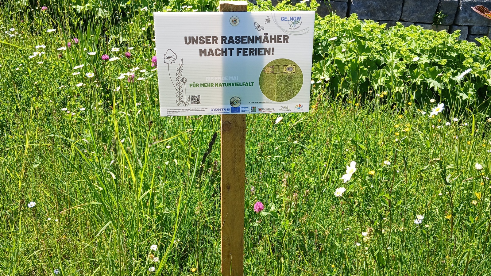 
                        
                            Erfolgreiche Bilanz für „Ferien für den Rasenmäher“
                        
                        