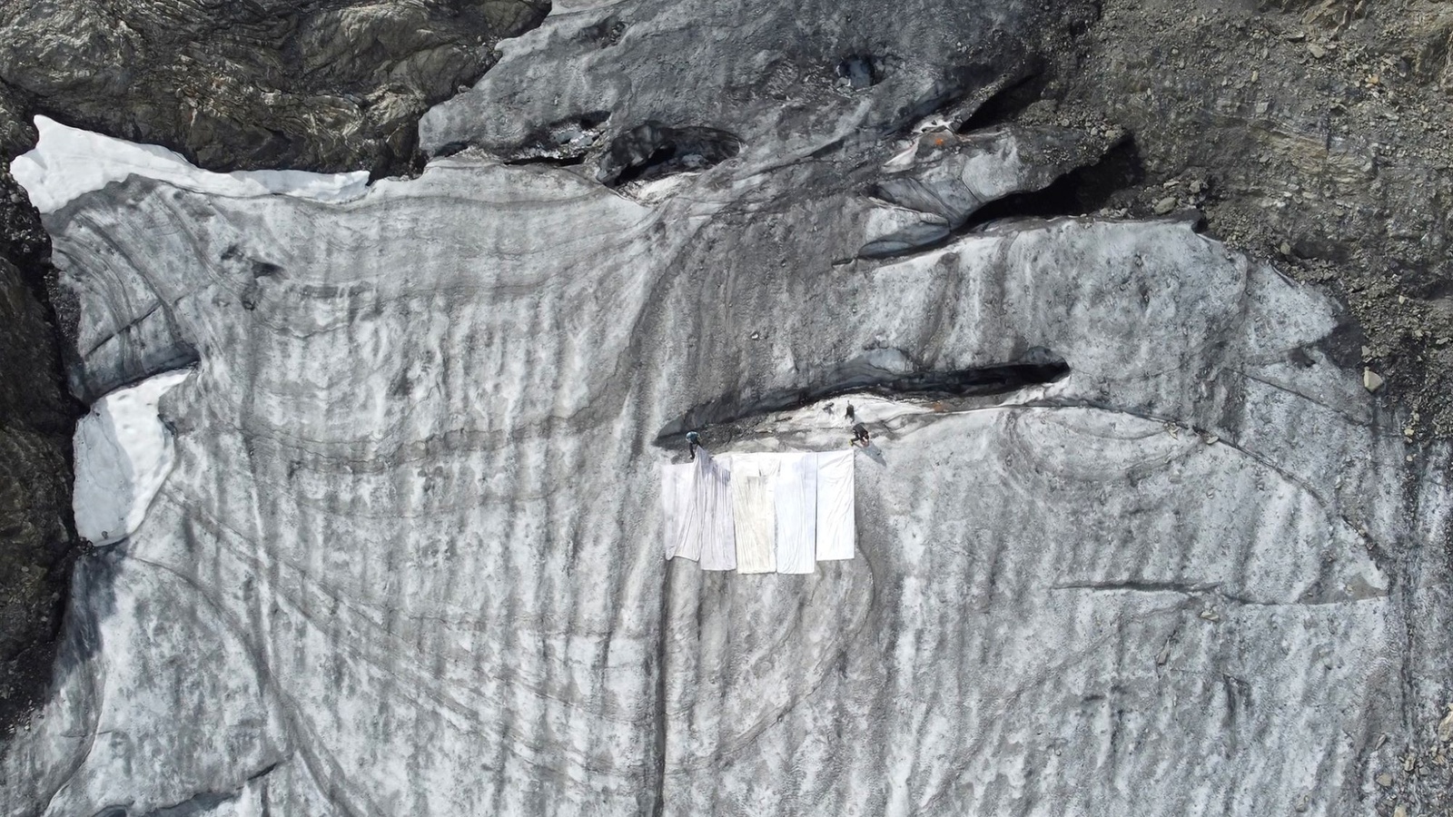 
                        
                            Gold für Kunst- und Wissenschaftsprojekt ICE * In Case of Emergency
                        
                        