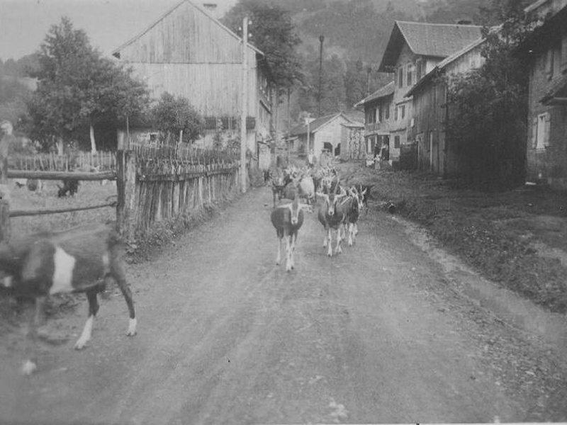 
                                    
                                        Geißerweg Bizau
                                    
                                    