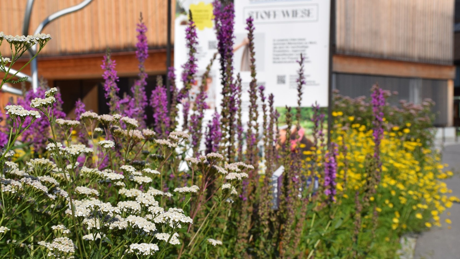 
                        
                            Ein Materialgarten für nachhaltige Mode
                        
                        