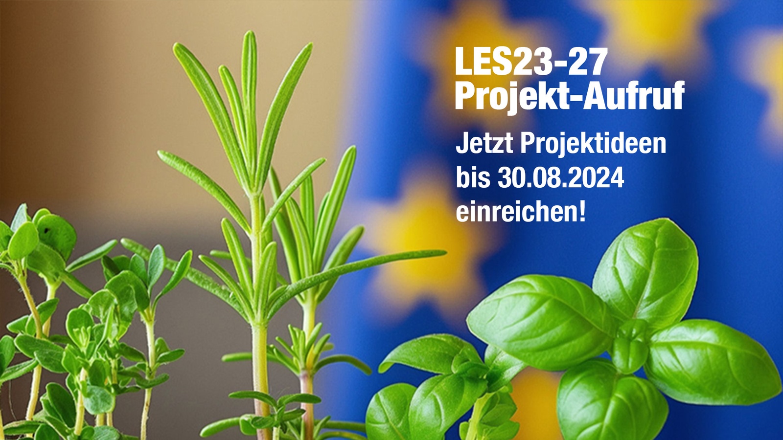 
                        
                            Zweiter Aufruf 2024 zur Einreichung von LEADER-Projekten
                        
                        