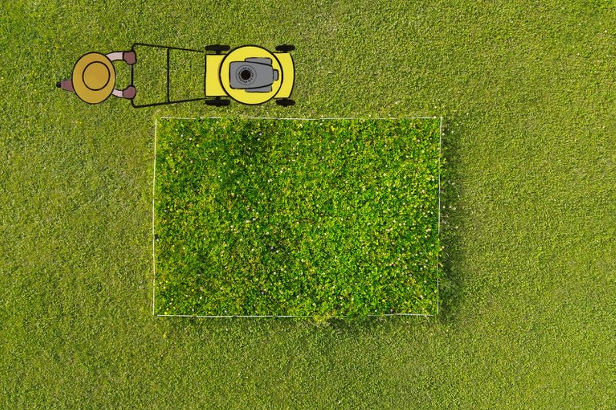 
                                    
                                        „Ferien für den Rasenmäher“: Challenge macht Gärten zu Hotspots der Artenvielfalt
                                    
                                    