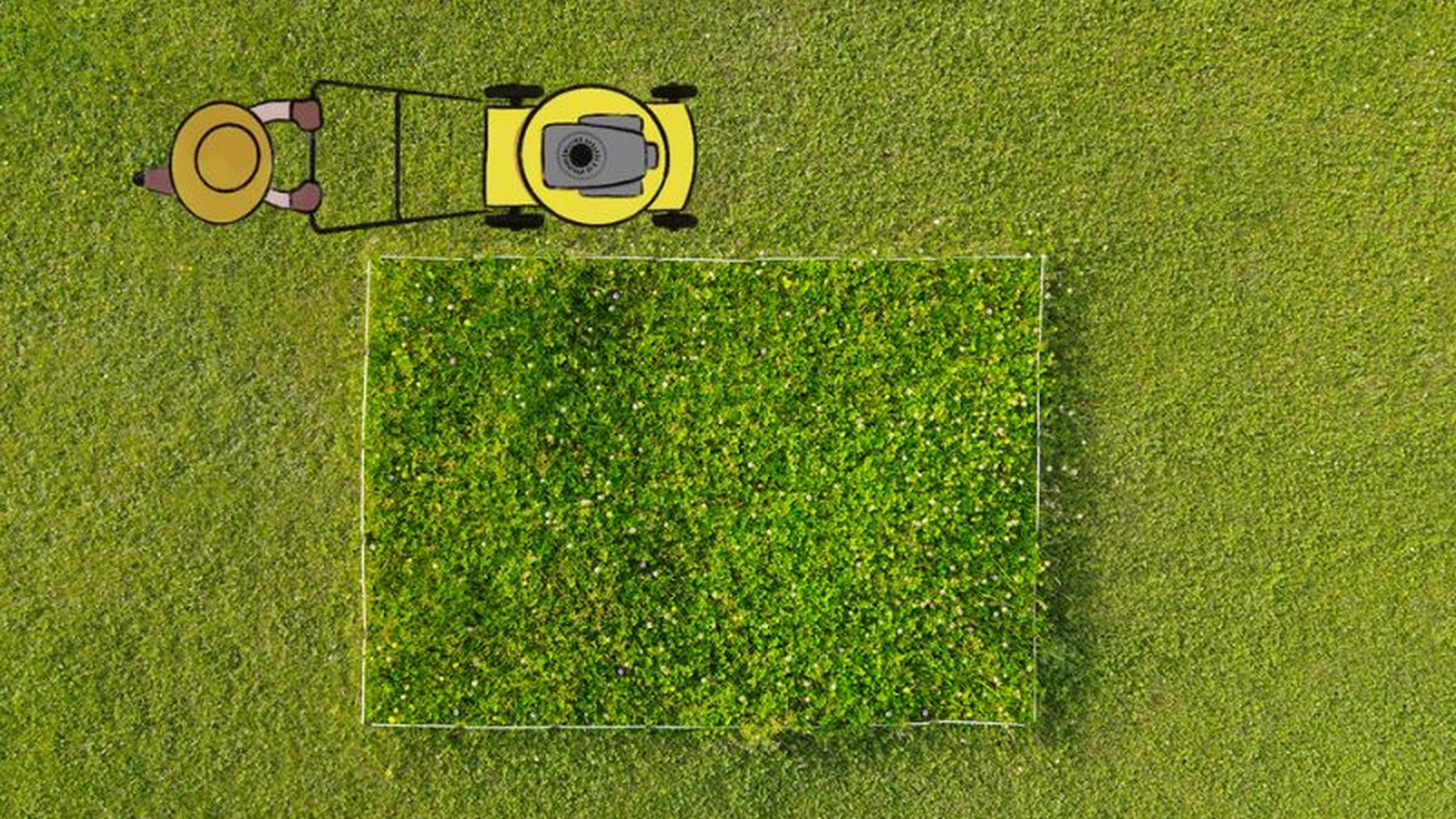 
                        
                            „Ferien für den Rasenmäher“: Challenge macht Gärten zu Hotspots der Artenvielfalt
                        
                        