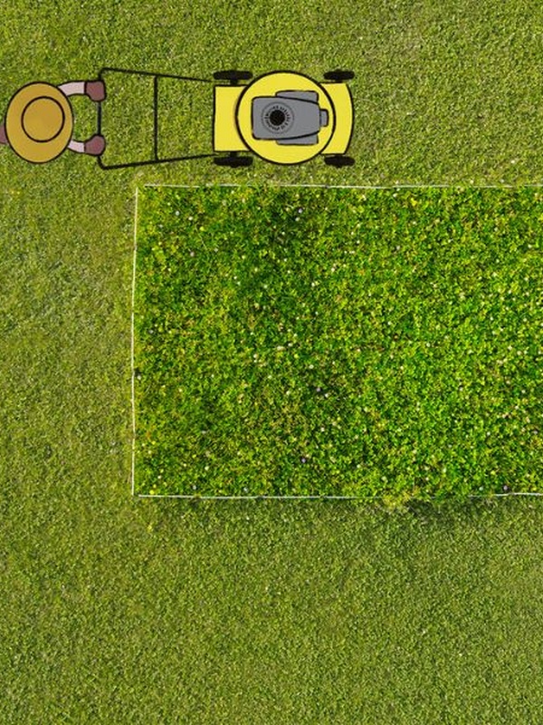 „Ferien für den Rasenmäher“: Challenge macht Gärten zu Hotspots der Artenvielfalt