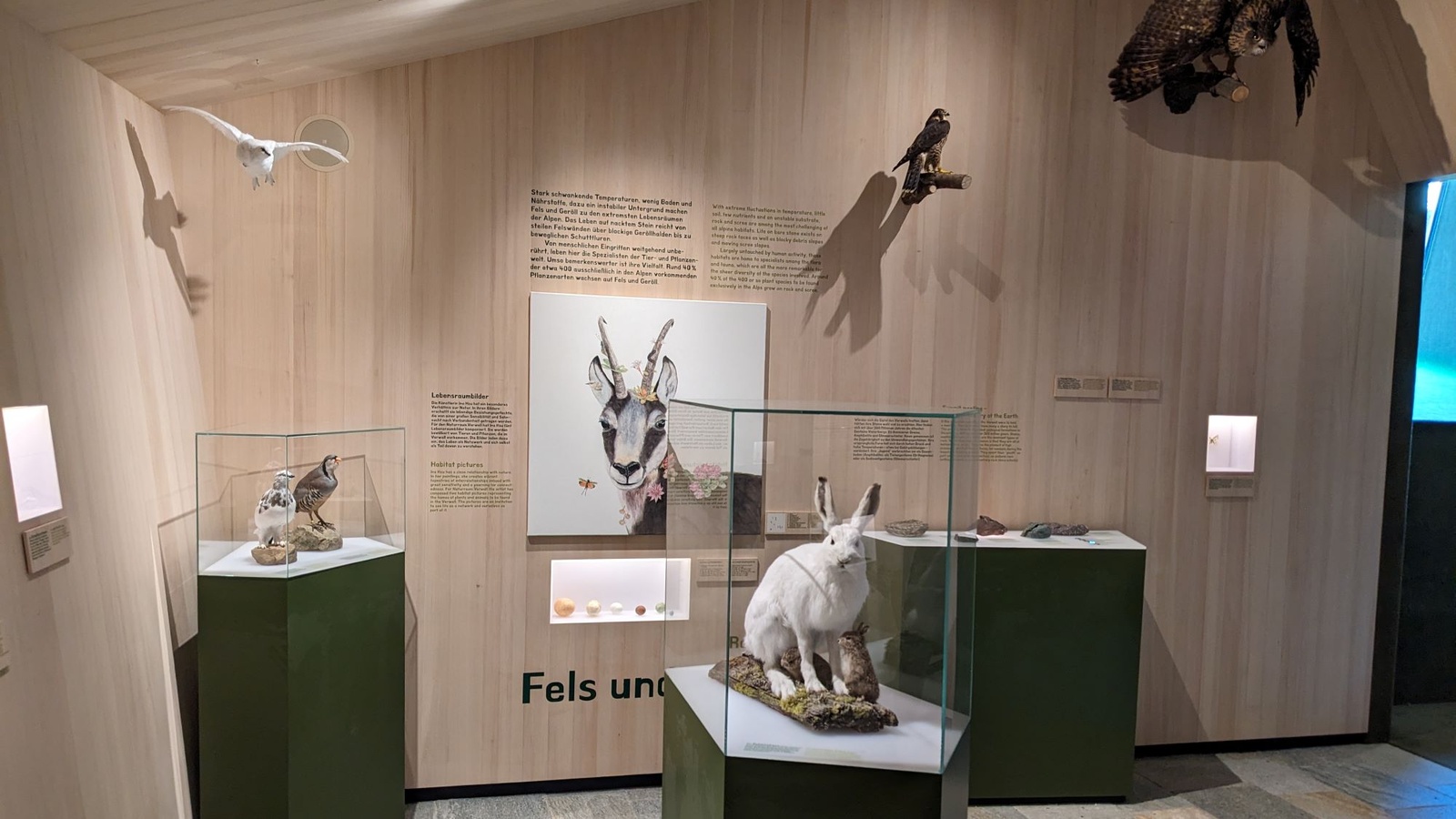 
                        
                            Die Natur im Verwall entdecken
                        
                        