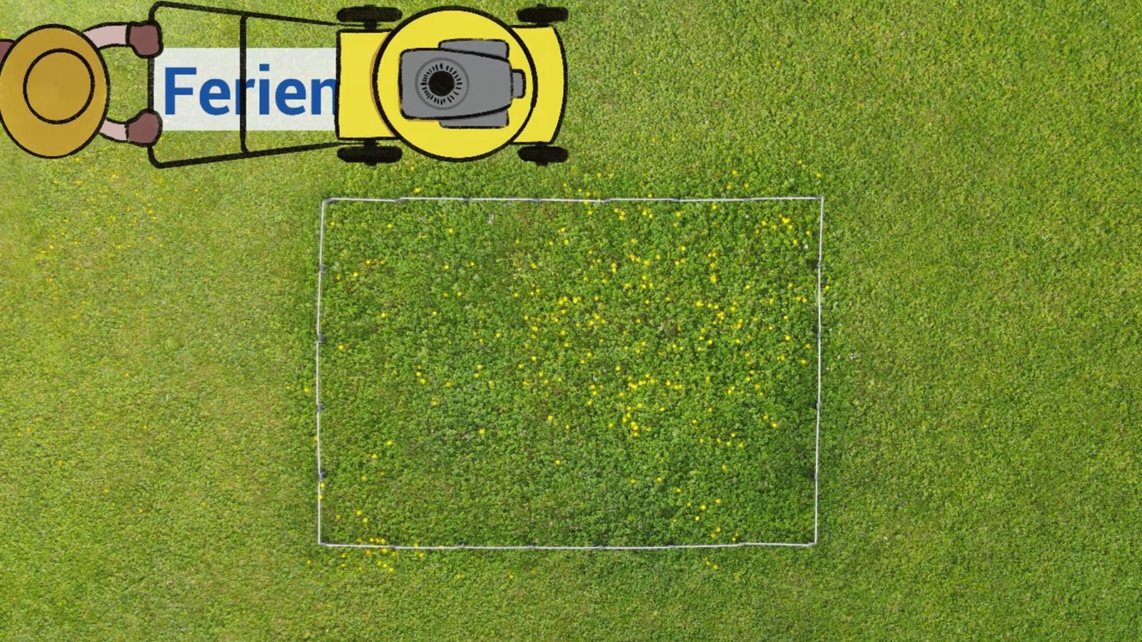 
                        
                            Mitmachen bei der Aktion "Ferien für den Rasenmäher"
                        
                        