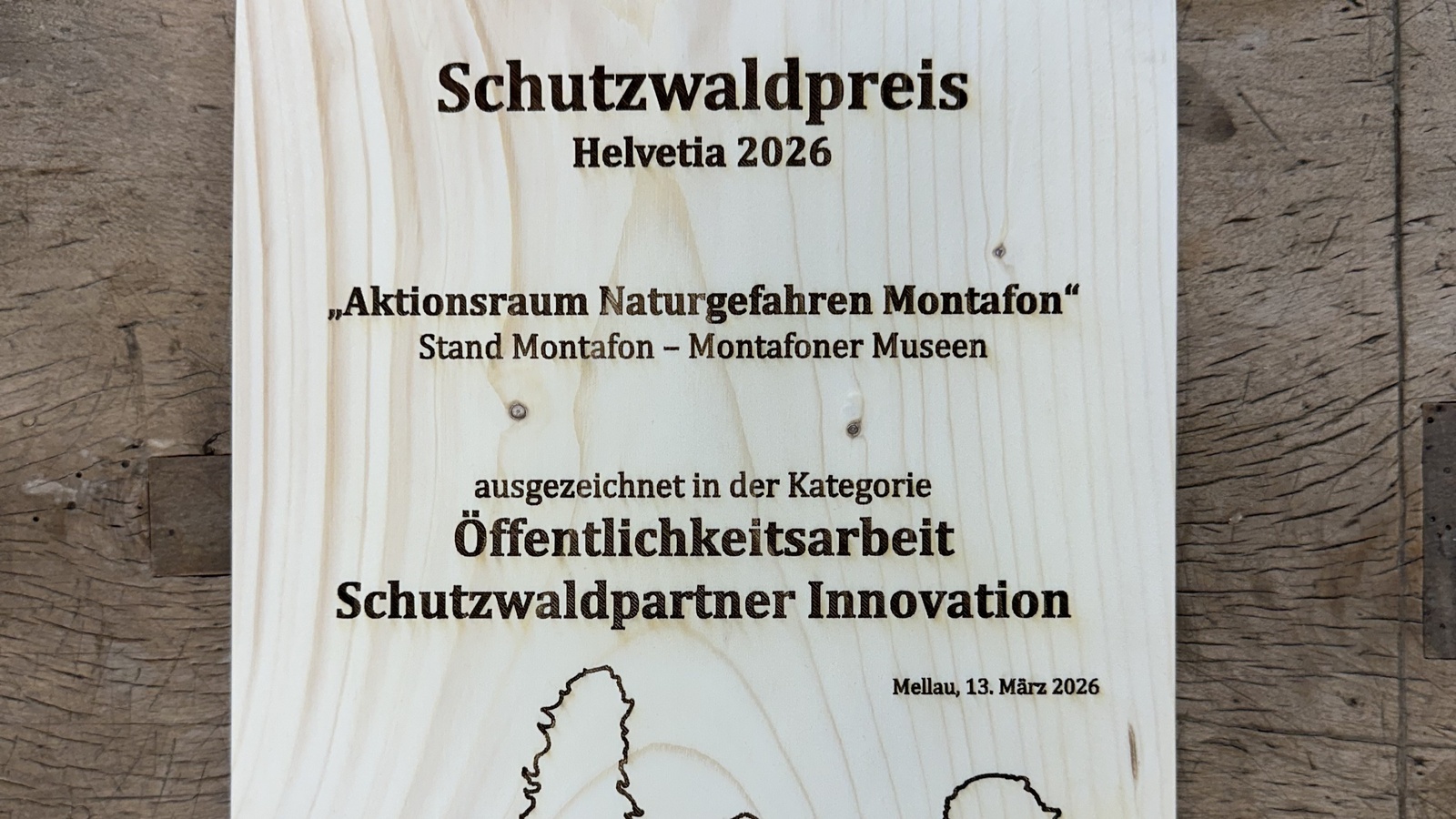 
                        
                            Auszeichnung für den Aktionsraum Naturgefahren Montafon
                        
                        
