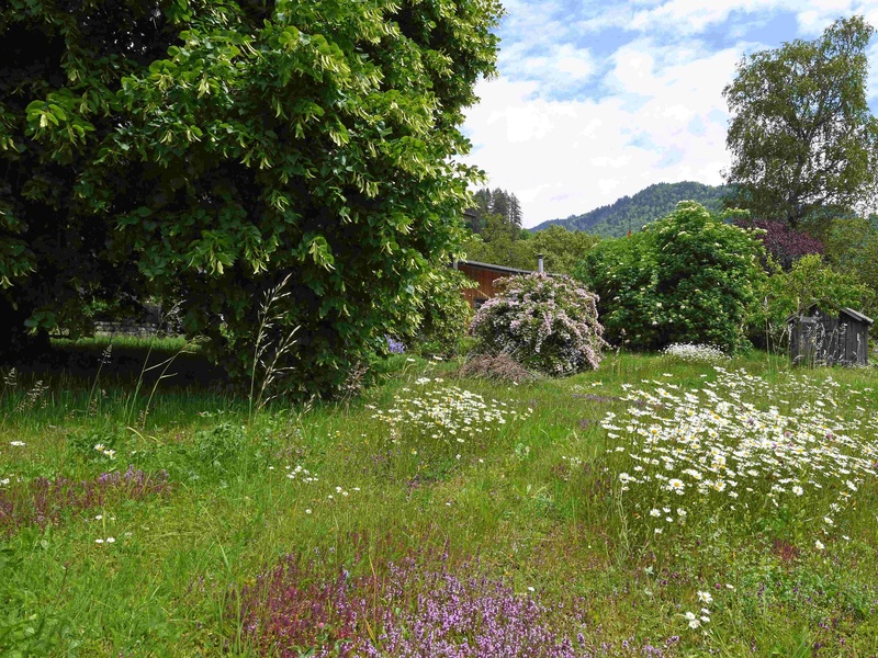 Siegerfoto der Challenge "Ferien für den Rasenmäher", Familie Bardill-Gerber, Schiers im Prättigau
Rasenmäherferien für mehr Natur: Sieger:innen der Challenge „Ferien für den Rasenmäher“ ausgezeichnet