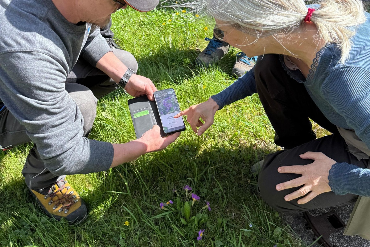 
                                    
                                        Wie Gemeinden mehr Naturvielfalt ermöglichen können
                                    
                                    