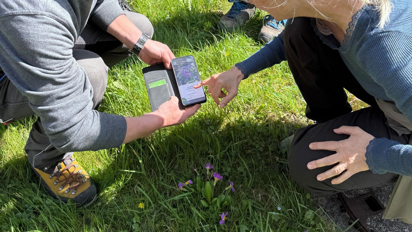 
                        
                            Wie Gemeinden mehr Naturvielfalt ermöglichen können
                        
                        