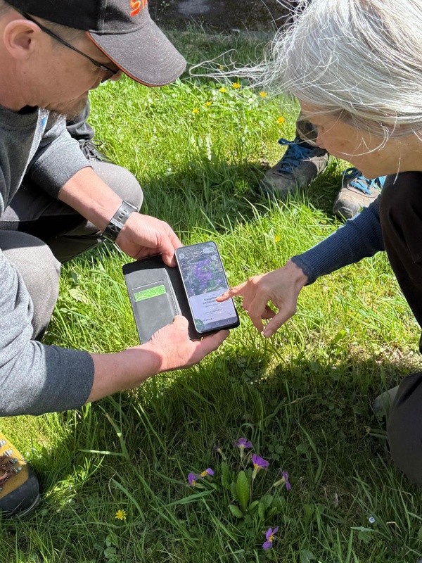 Wie Gemeinden mehr Naturvielfalt ermöglichen können