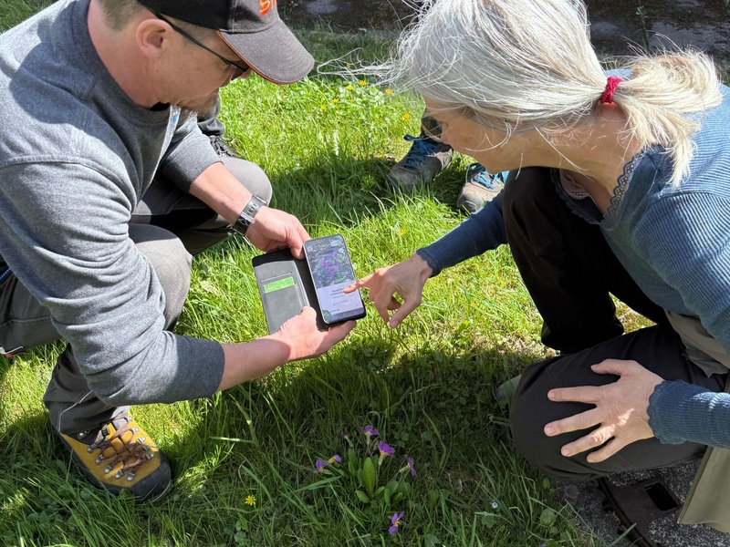 
                                            
                                                Wie Gemeinden mehr Naturvielfalt ermöglichen können
                                            
                                            