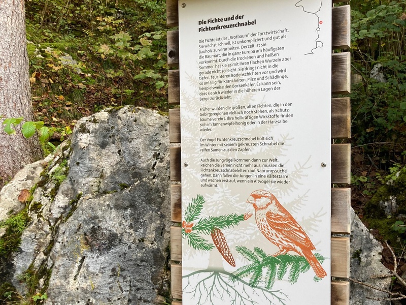 
                                    
                                        Naturlernraum
                                    
                                    