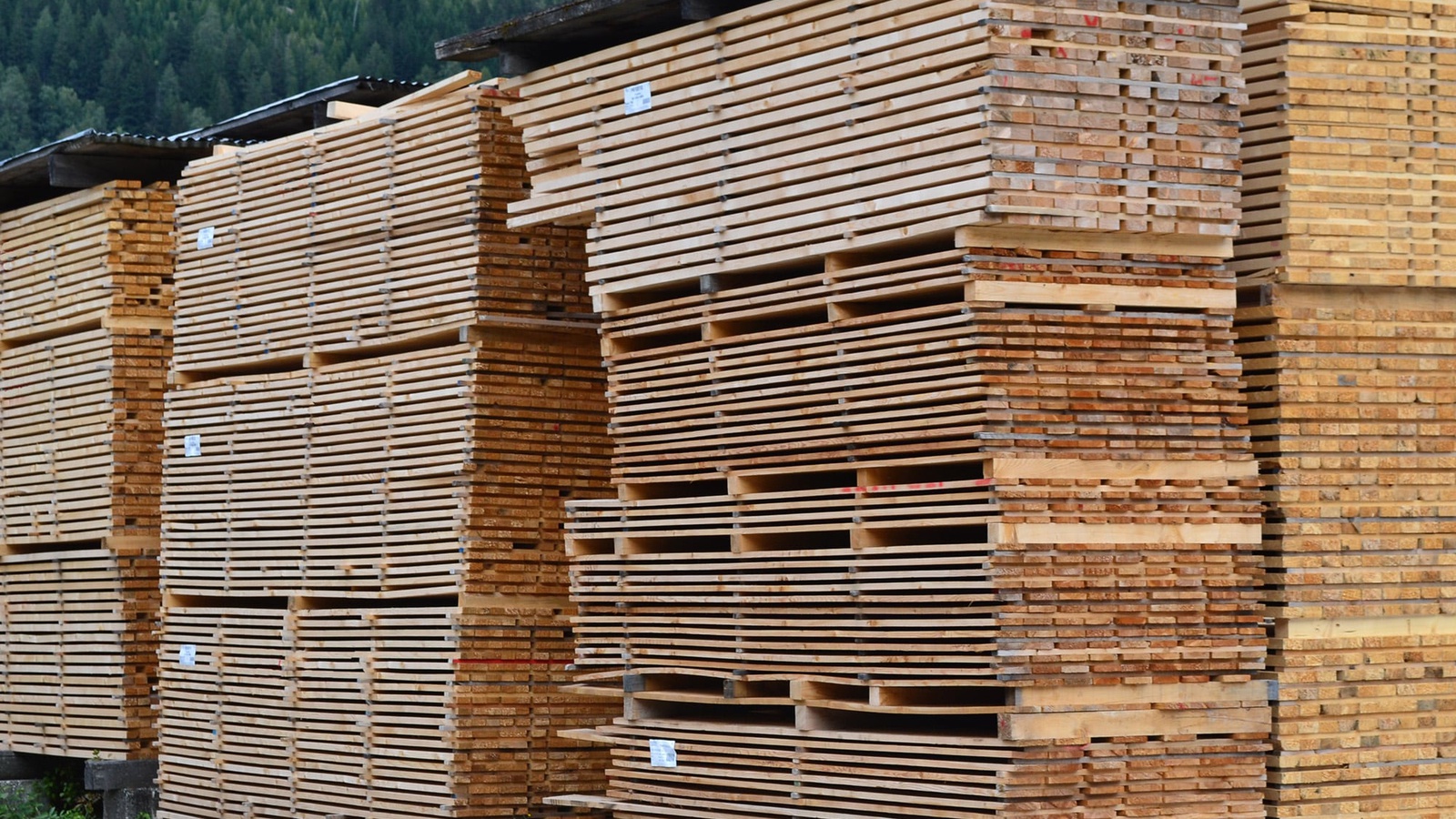 Holzlagerung