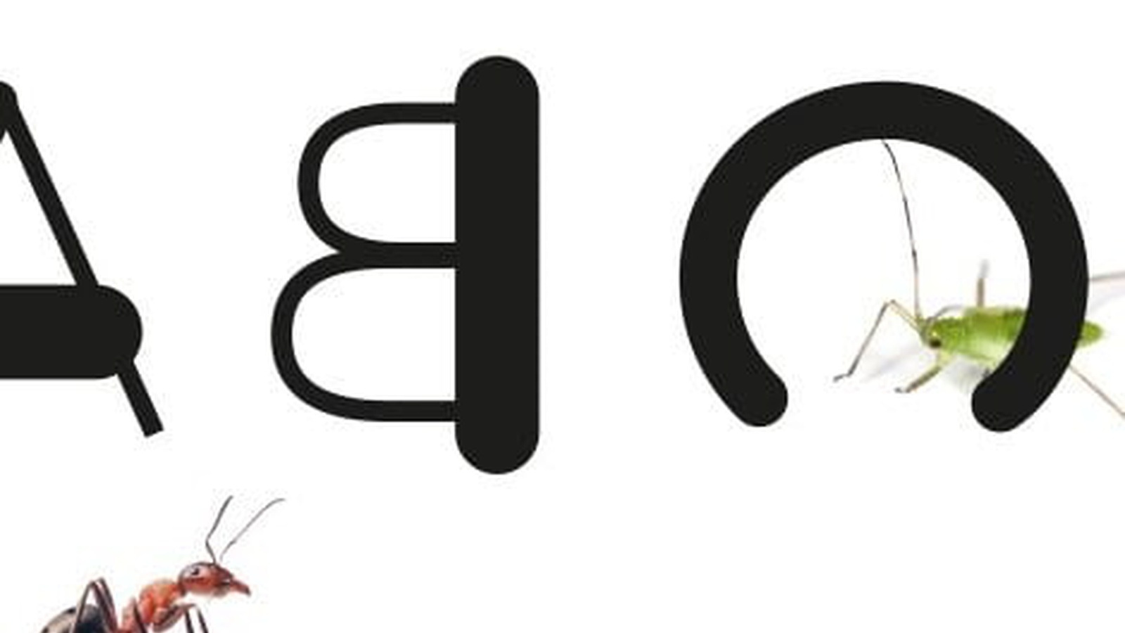 Werkraum-Ausstellung Alphabet des Lebens