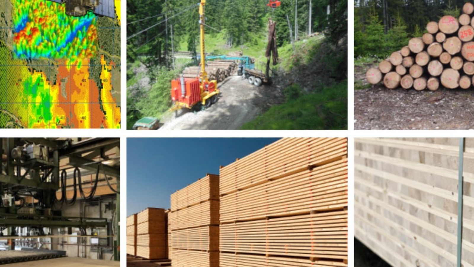 Das Holzkette-Projekt setzt sich für eine bessere Zusammenarbeit im Grenzraum Vorarlberg-Deutschland ein. Foto: Waldverband Vorarlberg