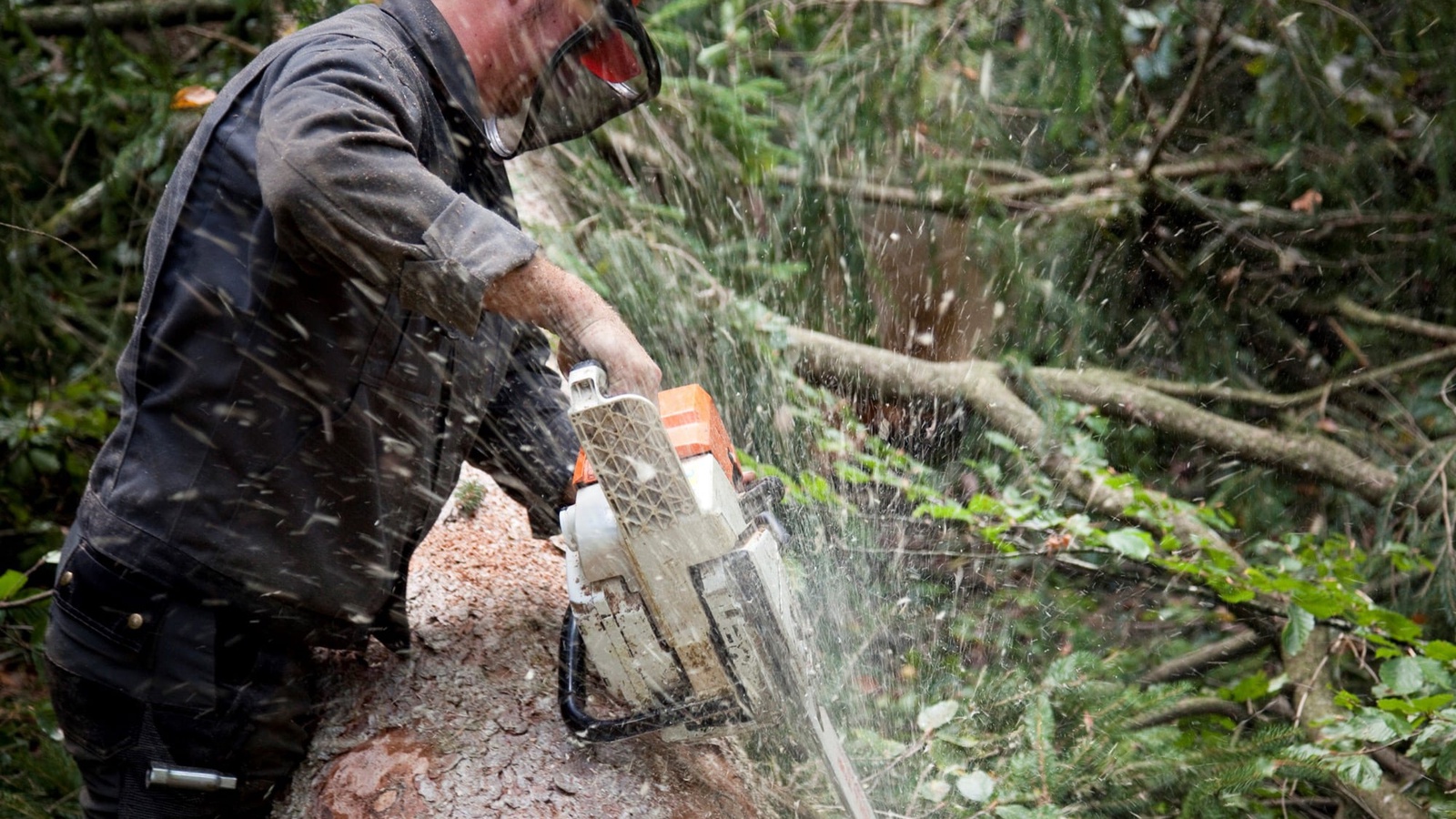 Mit dem CaSCo-Projekt setzt sich die Regio-V dafür ein, dass mehr Holz aus Vorarlberg in der Region genutzt wird. Foto: Landwirtschaftskammer Vorarlberg