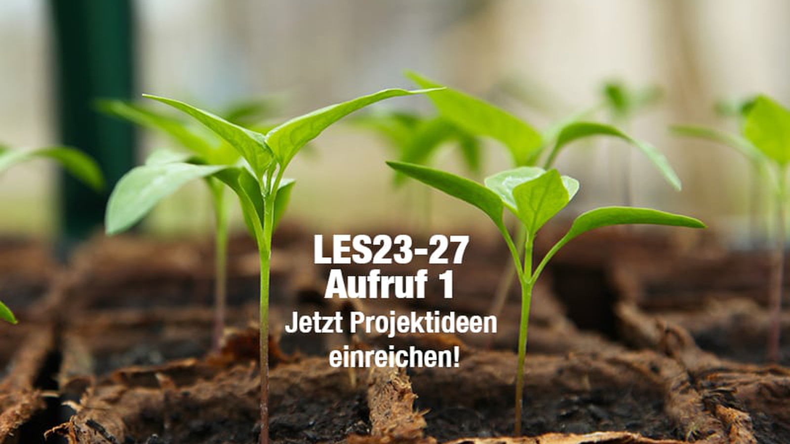 Bis zum 31. Oktober 2023 können Projektideen beim ersten Aufruf in der neuen LEADER-Periode eingereicht werden.
