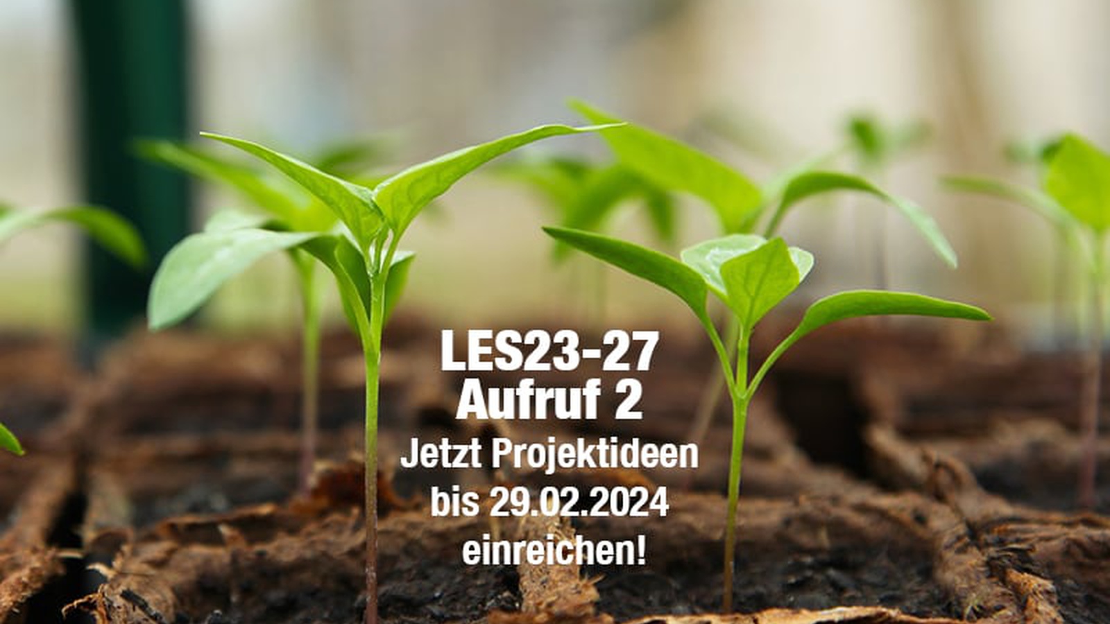 Zweiter Aufruf zur Einreichung von LEADER-Projekten