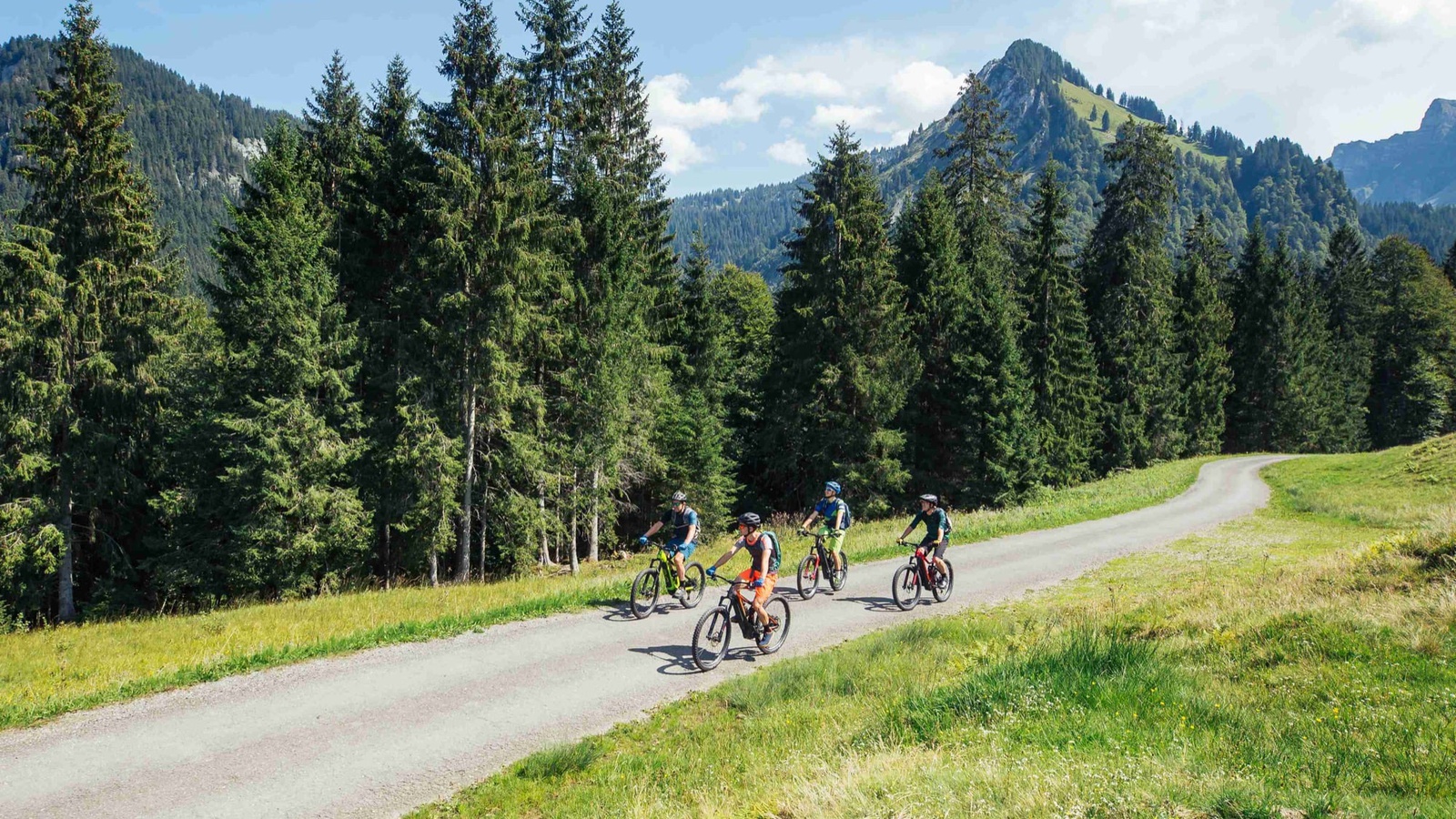 Das neue Mountainbike-Arrangement mit kulinarischen Stopps führt durch das landschaftlich reizvolle Vorsäßgebiet Schetteregg. Foto: Sebastian Stiphout - Bregenzerwald Tourismus