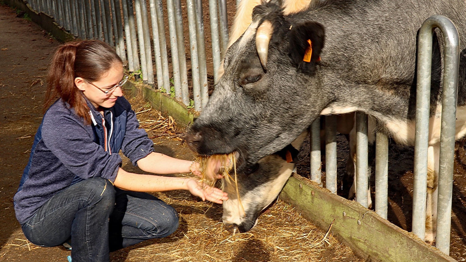 200 Vorarlberger*innen haben, wie Susanne Schwendinger einen ESK-Freiwilligendienst in verschiedenen Ländern Europas absolviert. Foto: aha
