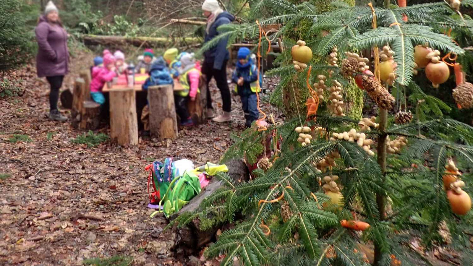 Unterstützt vom Gemeindeförster richten die Kinder der Kleinkinderbetreuung Hohenweiler im Bachspielwald einen Futterbaum für Tiere her und lernten nebenbei allerlei Wissenswertes rund um das Ökosystem Wald. Foto: Conny Feurstein