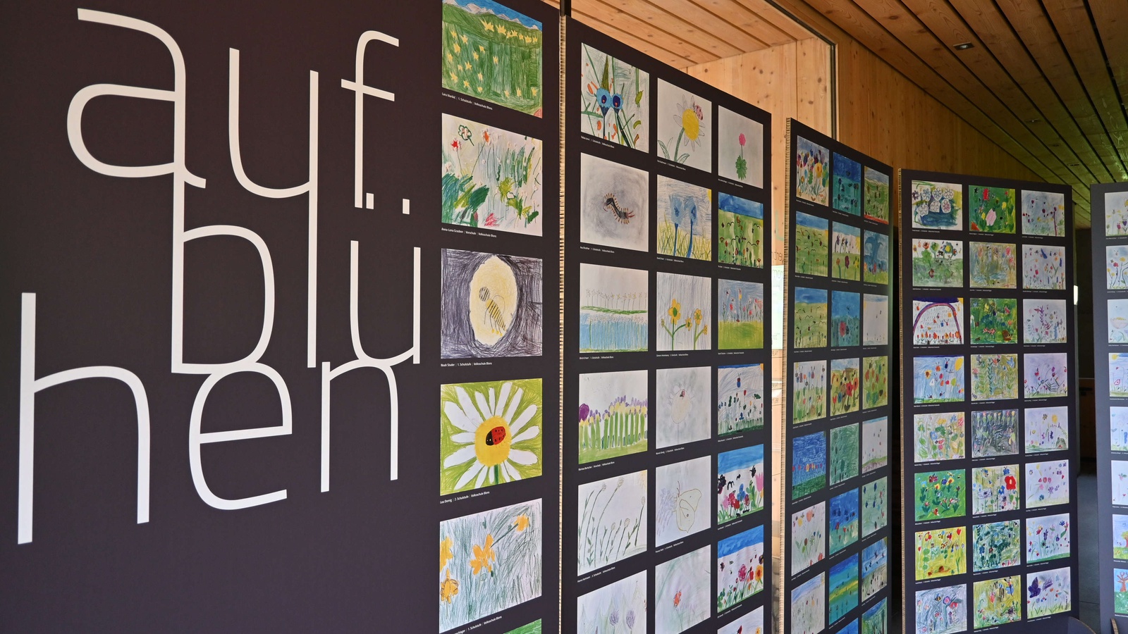 Die Ausstellung "Aufblühen" lädt ein, die Wiesenvielfalt im Großen Walsertal auf 183 von Volksschulkindern gemalten Bildern zu entdecken. 