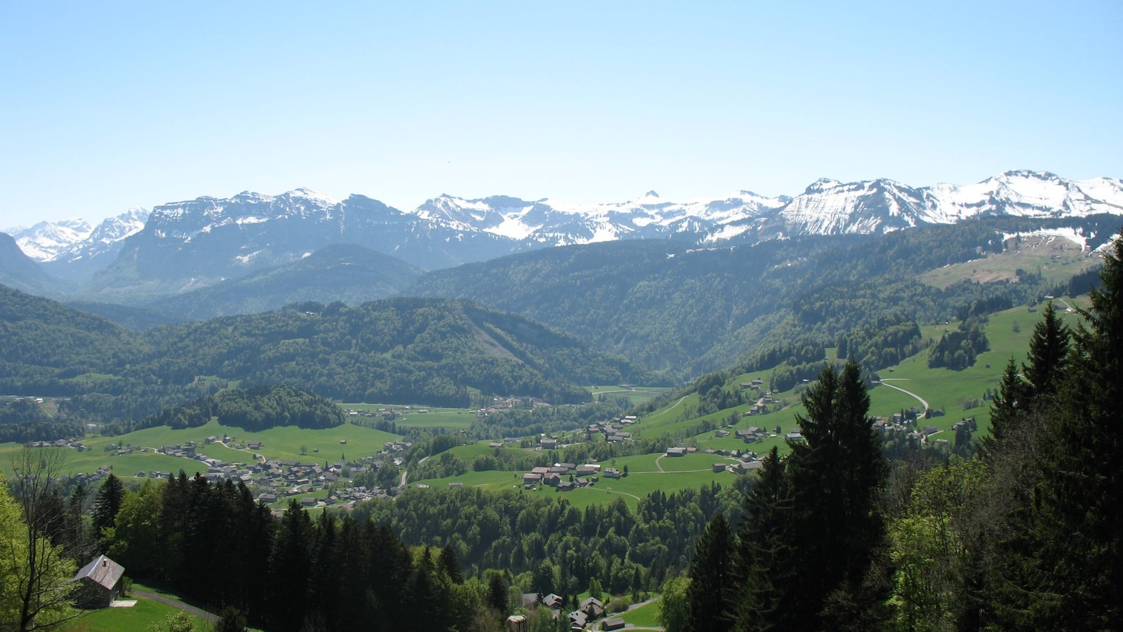 Brueggelekopf