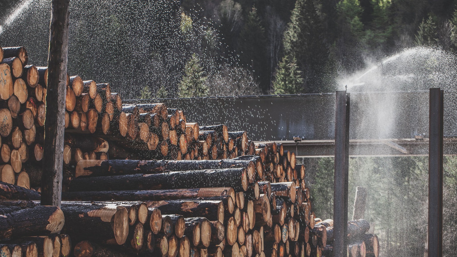 Foto: Erhart Holz
