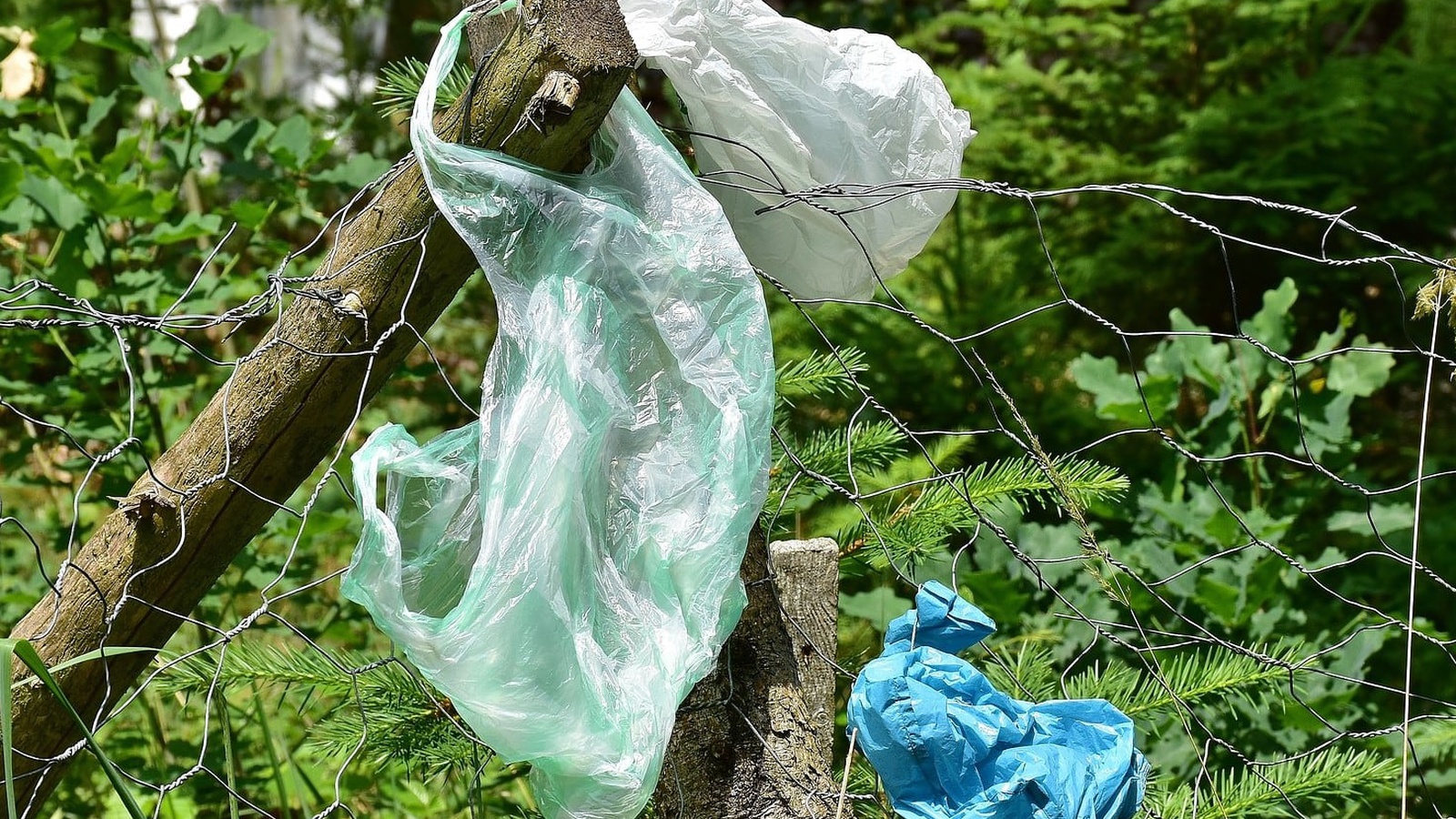 Die Landschaft vom Abfall zu befreien ist sinnvoll und wird über aha plus belohnt.